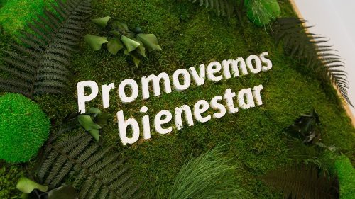 AEDAS Homes alcanza un 71% de promociones sostenibles con certificación 'AA'