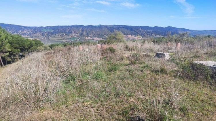 La Junta de Andalucía impulsa la construcción de 2.800 viviendas en Lagar de Oliveros